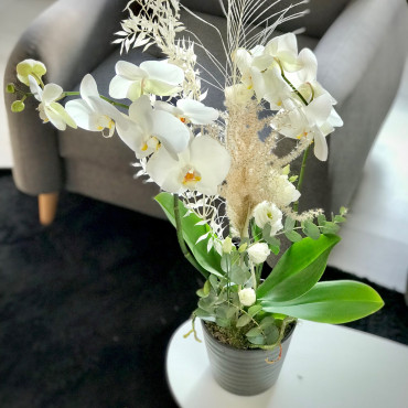 Arrangement d'orchidées, Des Lys & Délices, Fleuriste à Sion