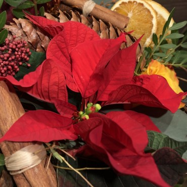 Bouquet inspiré du temps de l'Avent, Des Lys & Délices, Sion