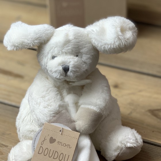 Un trop joli doudou tout doux dans sa petite boite cadeau. Des Lys & Délices, Fleurs et Saveurs. Sion Un trop joli doudou tout doux dans sa petite boite cadeau. Des Lys & Délices, Fleurs et Saveurs. Sion