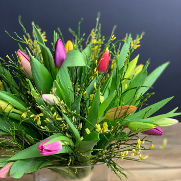 Bouquet de tulipes fraîches, Des Lys & Délices, Sion, Livraison de fleurs en Valais