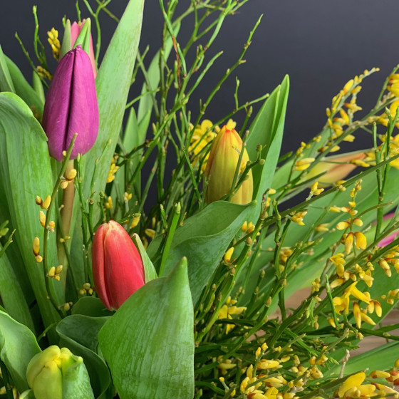 Bouquet de tulipes fraîches, Des Lys & Délices, Sion, Livraison de fleurs en Valais Bouquet de tulipes fraîches, Des Lys & Délices, Sion, Livraison de fleurs en Valais