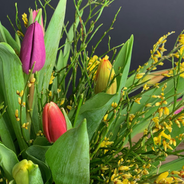 Bouquet de tulipes fraîches, Des Lys & Délices, Sion, Livraison de fleurs en Valais